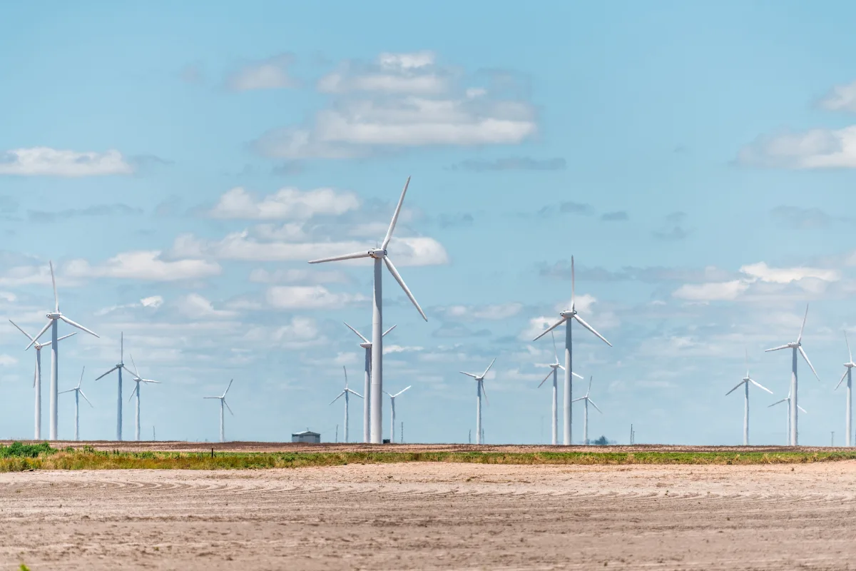 Texas wind and solar power rise to meet electricity demand