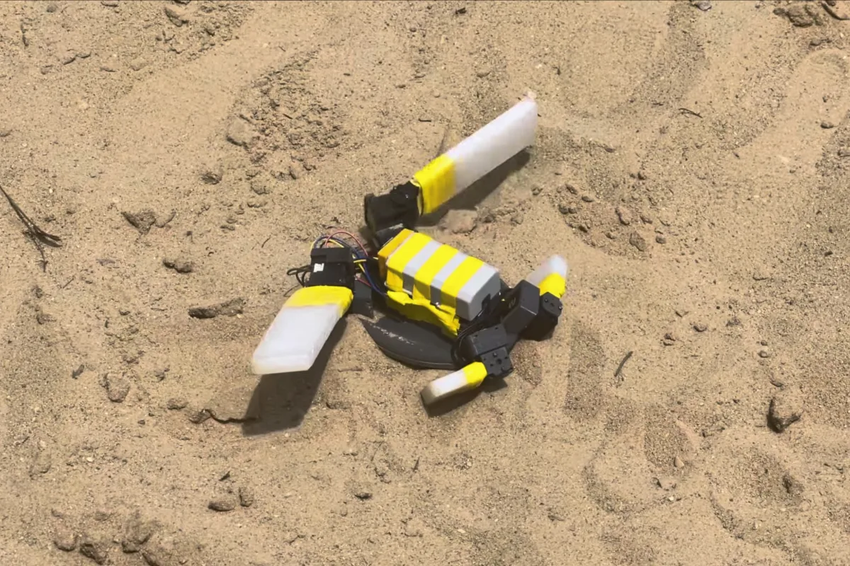 Robotic sea turtle designed to lead younglings to sea safety