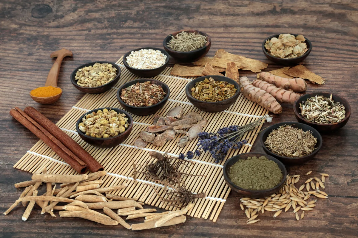 A variety of plant medicines artfully arranged on a rustic wooden table, with fresh and dried herbs and powders. All are neatly positioned underneath a bamboo or wooden mat.